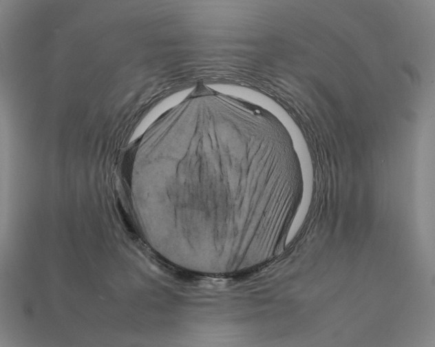 X0000111900227200909071143