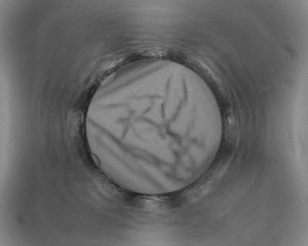 X0000111900229200909071143