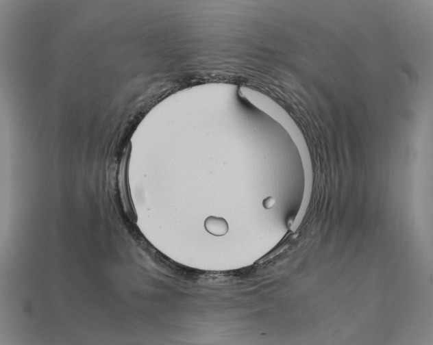 X0000111900231200909071142