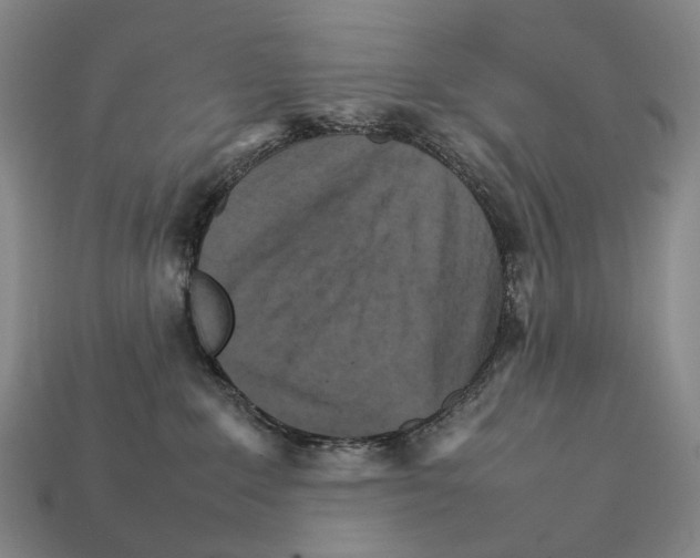 X0000111900235200909071142