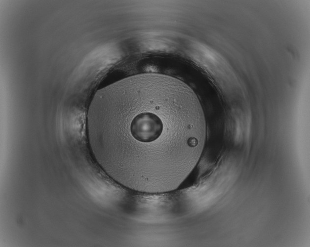 X0000111900237200909071142