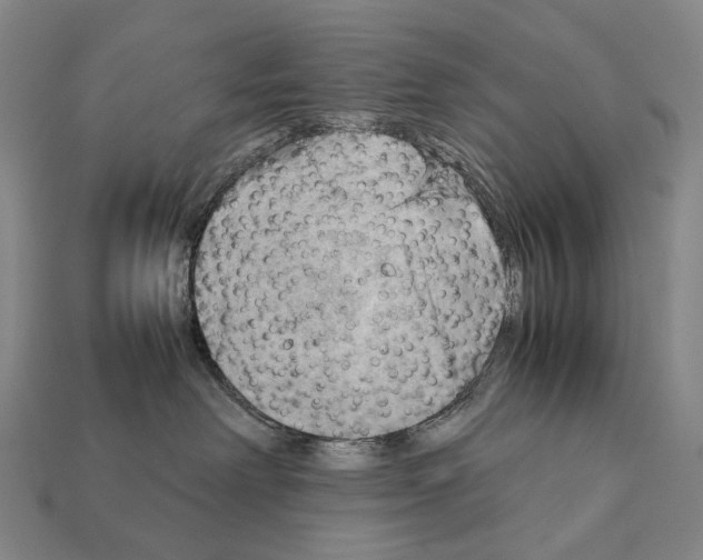 X0000111900238200909071142