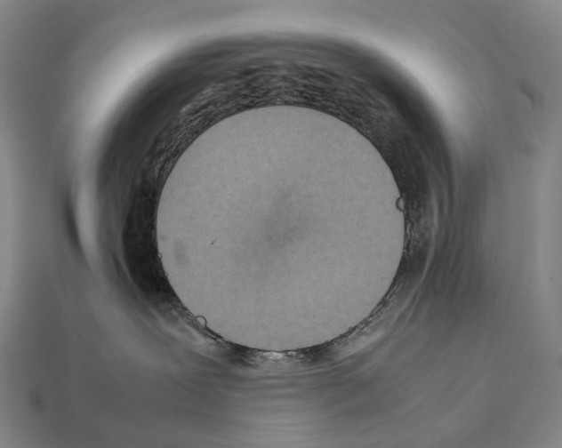 X0000111900239200909071142