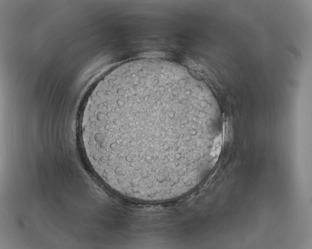 X0000111900243200909071142