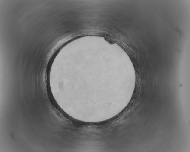 X0000111900244200909071142