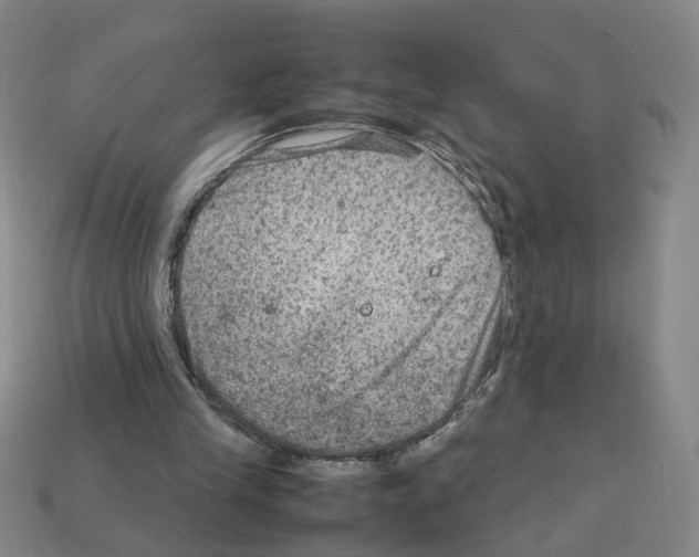 X0000111900245200909071142