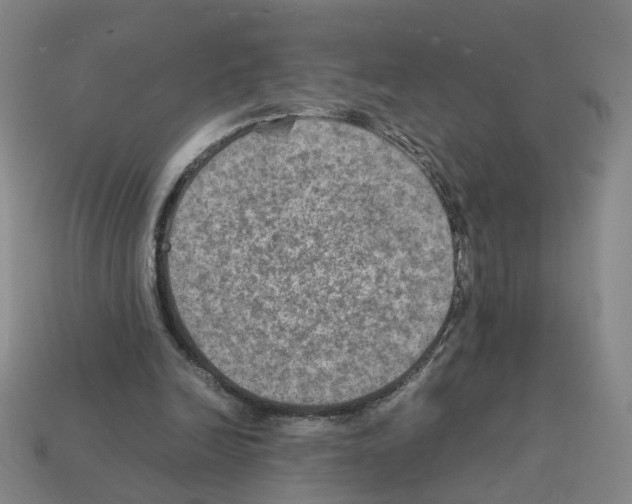 X0000111900246200909071142