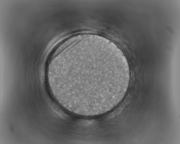 X0000111900247200909071142