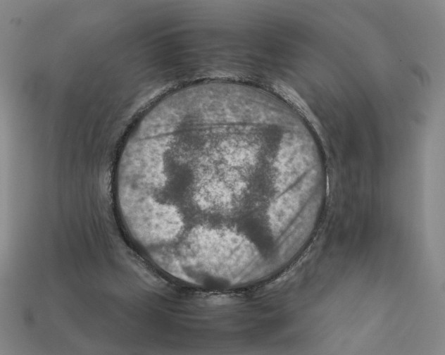 X0000111900249200909071142