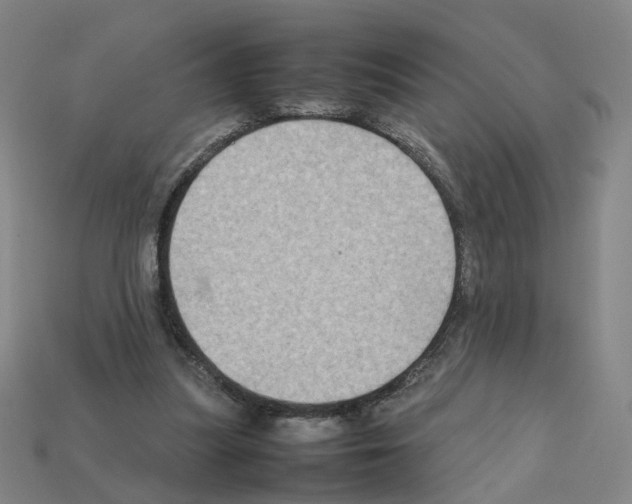 X0000111900251200909071142