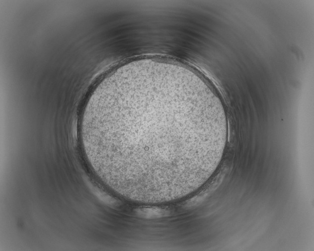 X0000111900253200909071142