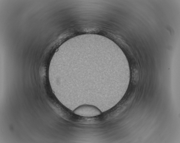 X0000111900260200909071142