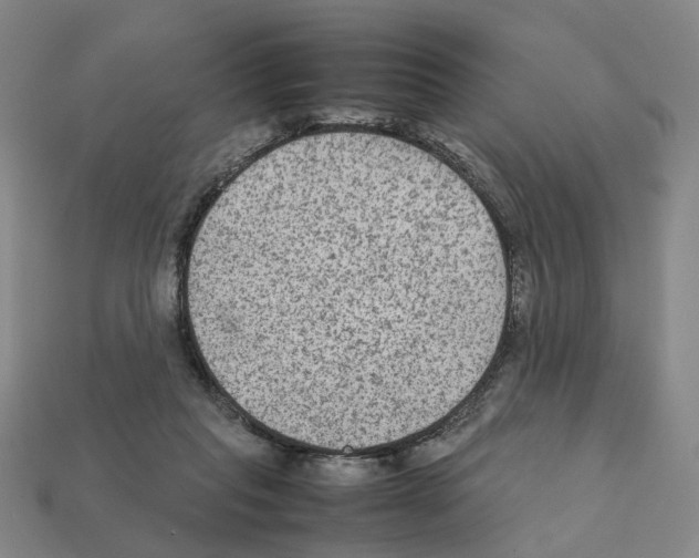 X0000111900261200909071142