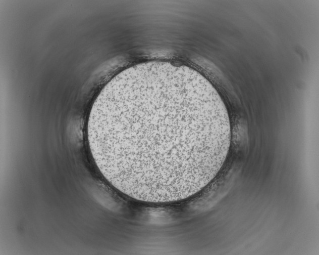 X0000111900264200909071142