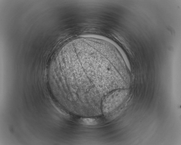 X0000111900265200909071142