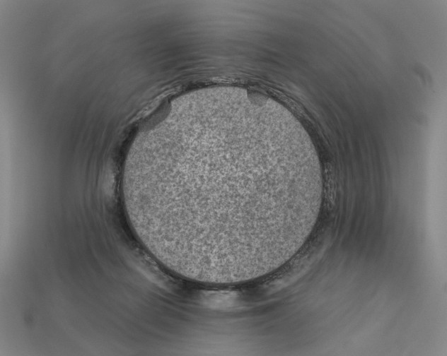 X0000111900266200909071142