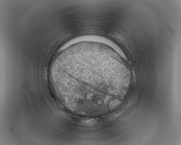 X0000111900267200909071142