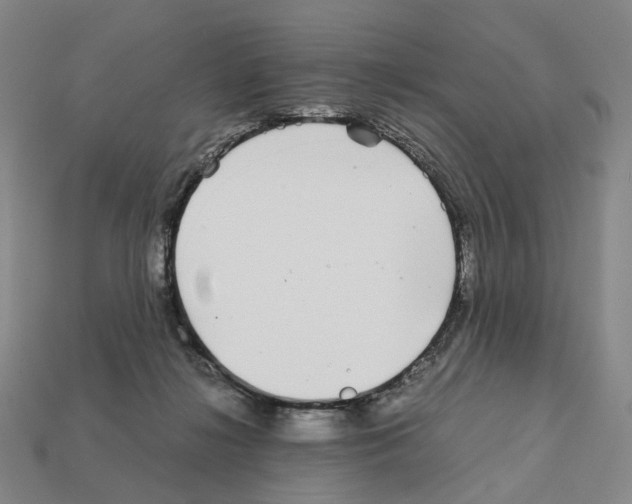 X0000111900268200909071142