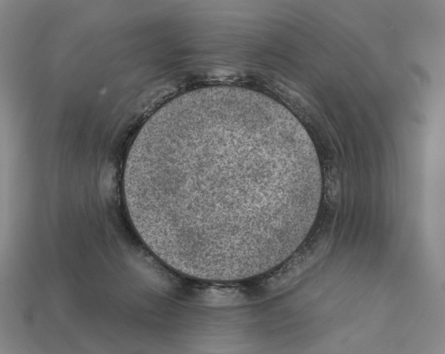 X0000111900270200909071142