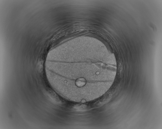 X0000111900271200909071142