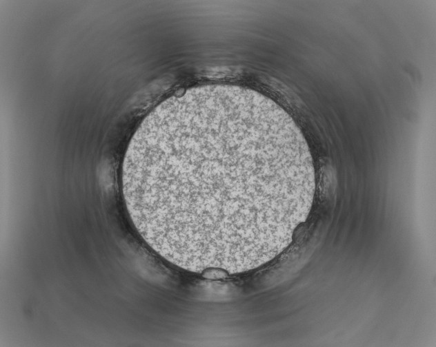 X0000111900272200909071142