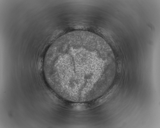 X0000111900273200909071142