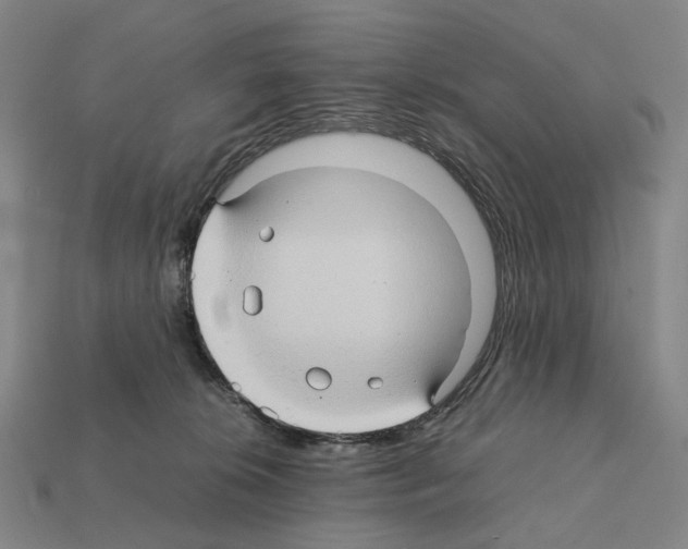 X0000111900276200909071142