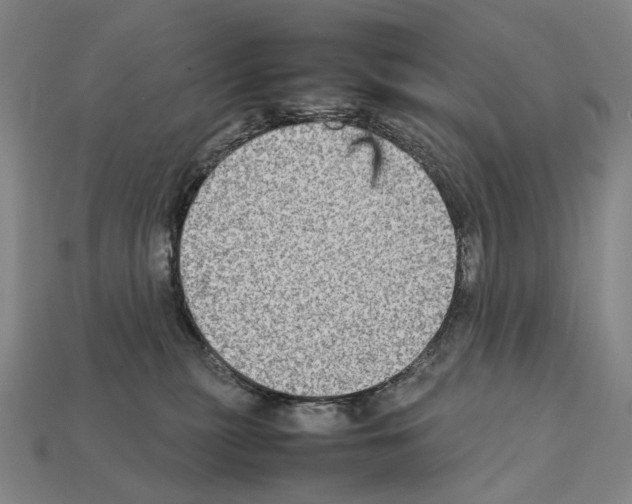 X0000111900279200909071142