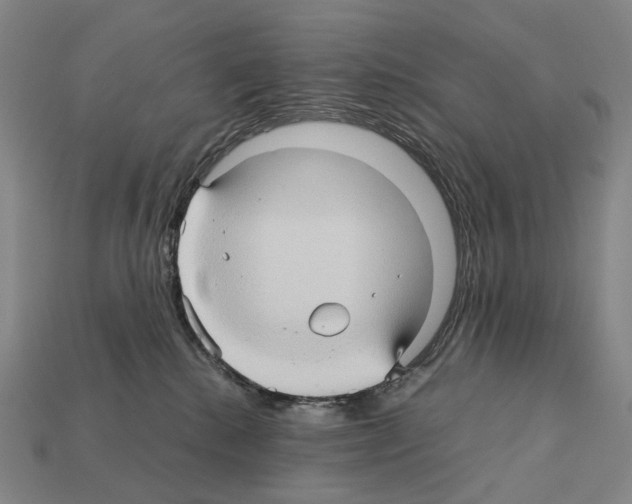 X0000111900280200909071142