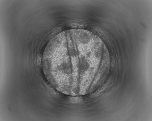 X0000111900281200909071142