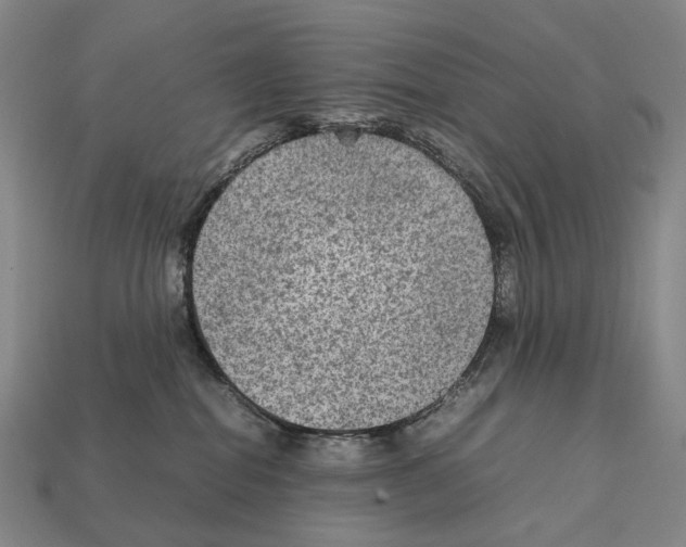 X0000111900282200909071142