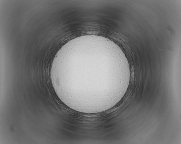 X0000111900283200909071142