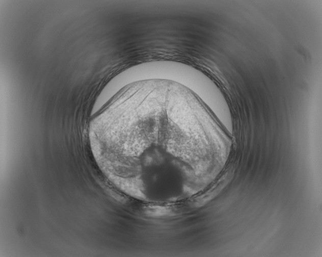 X0000111900285200909071142