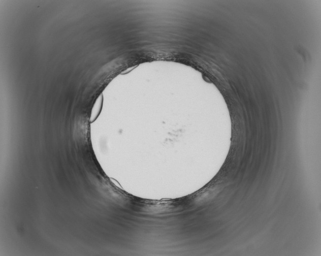 X0000111900288200909071142