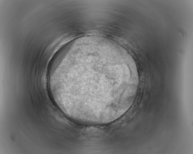 X0000111900290200909071142