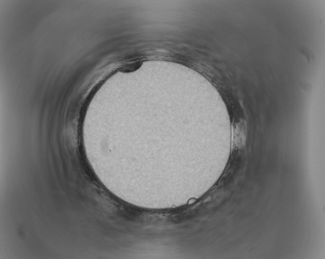 X0000111900291200909071142