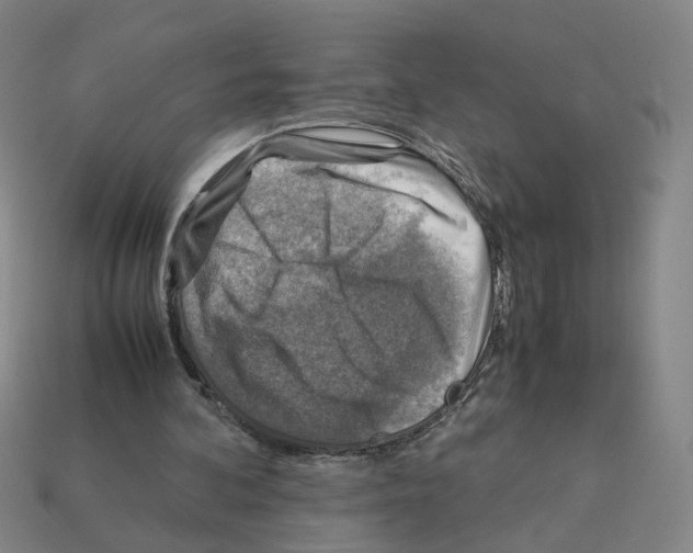 X0000111900292200909071142