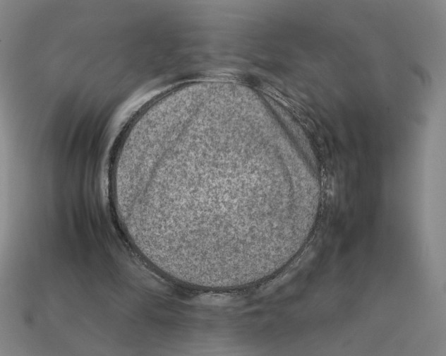 X0000111900294200909071142