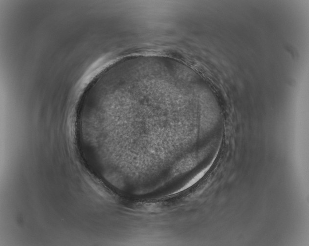 X0000111900295200909071142