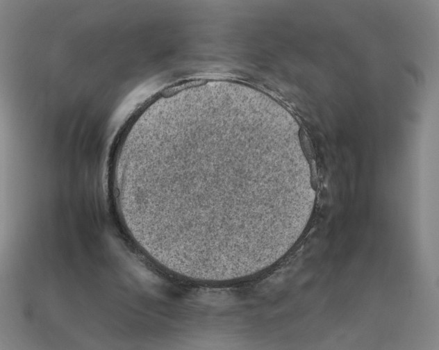 X0000111900296200909071142