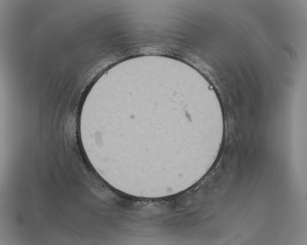 X0000111900297200909071142