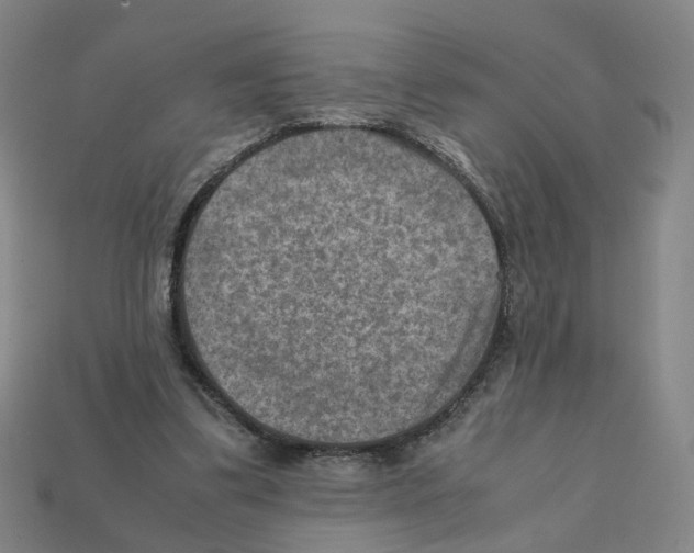 X0000111900299200909071142