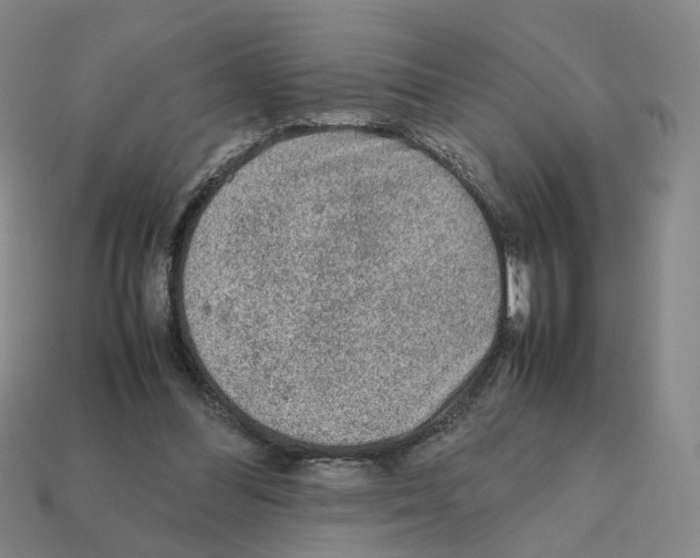 X0000111900300200909071142