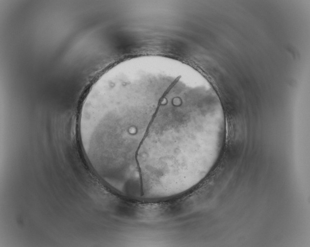 X0000111900301200909071142