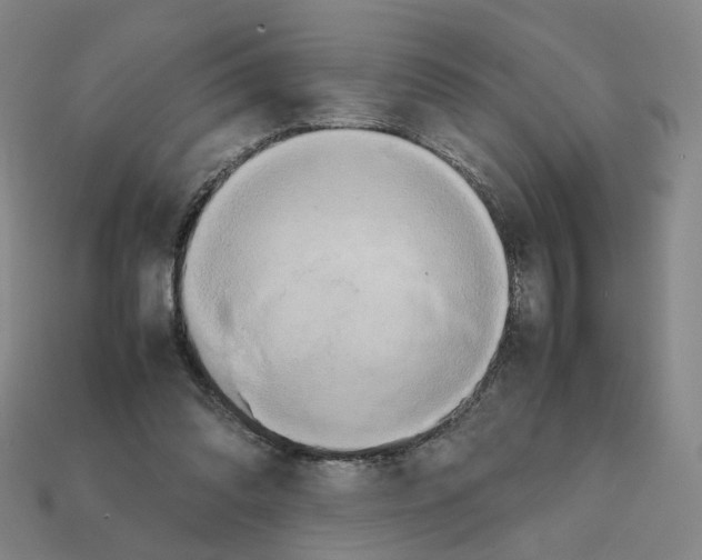 X0000111900302200909071142