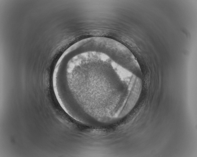 X0000111900303200909071142