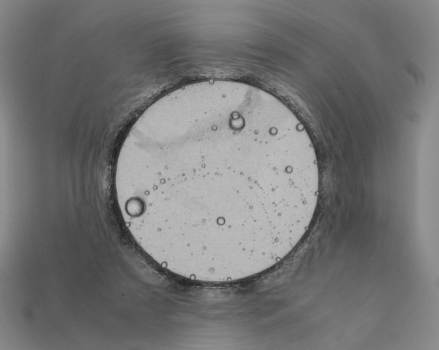 X0000111900305200909071141