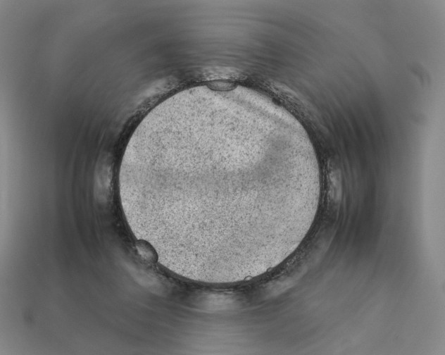 X0000111900308200909071141