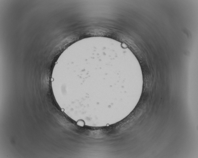 X0000111900309200909071141