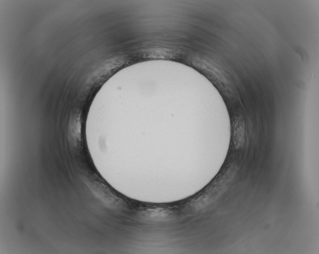 X0000111900310200909071141